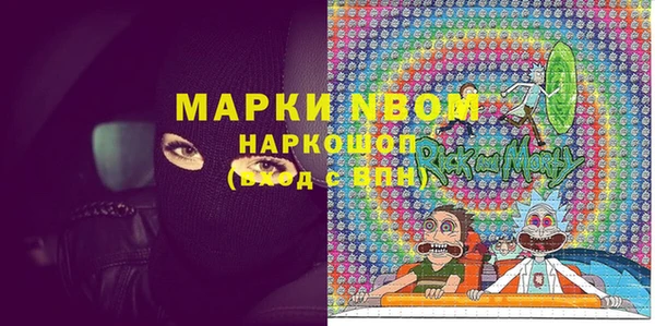 шишки Алексин