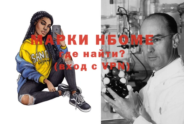 шишки Алексин